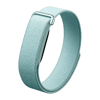 Фитнес-браслет Google Fitbit Air («Туманный серо-голубой» | Fog)